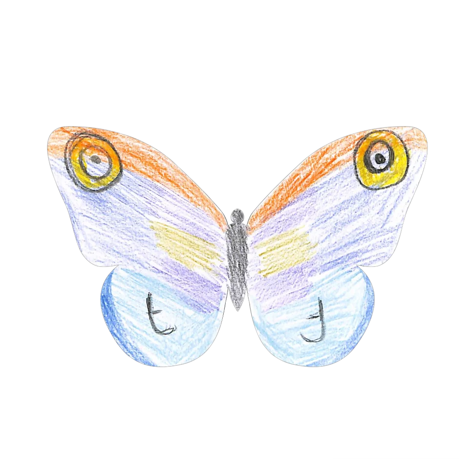 Original Butterfly Image