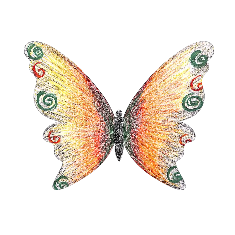 Original Butterfly Image