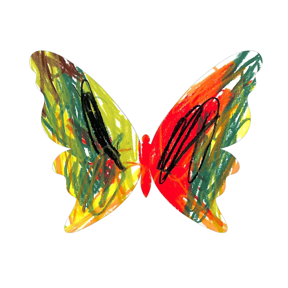 Original Butterfly Image