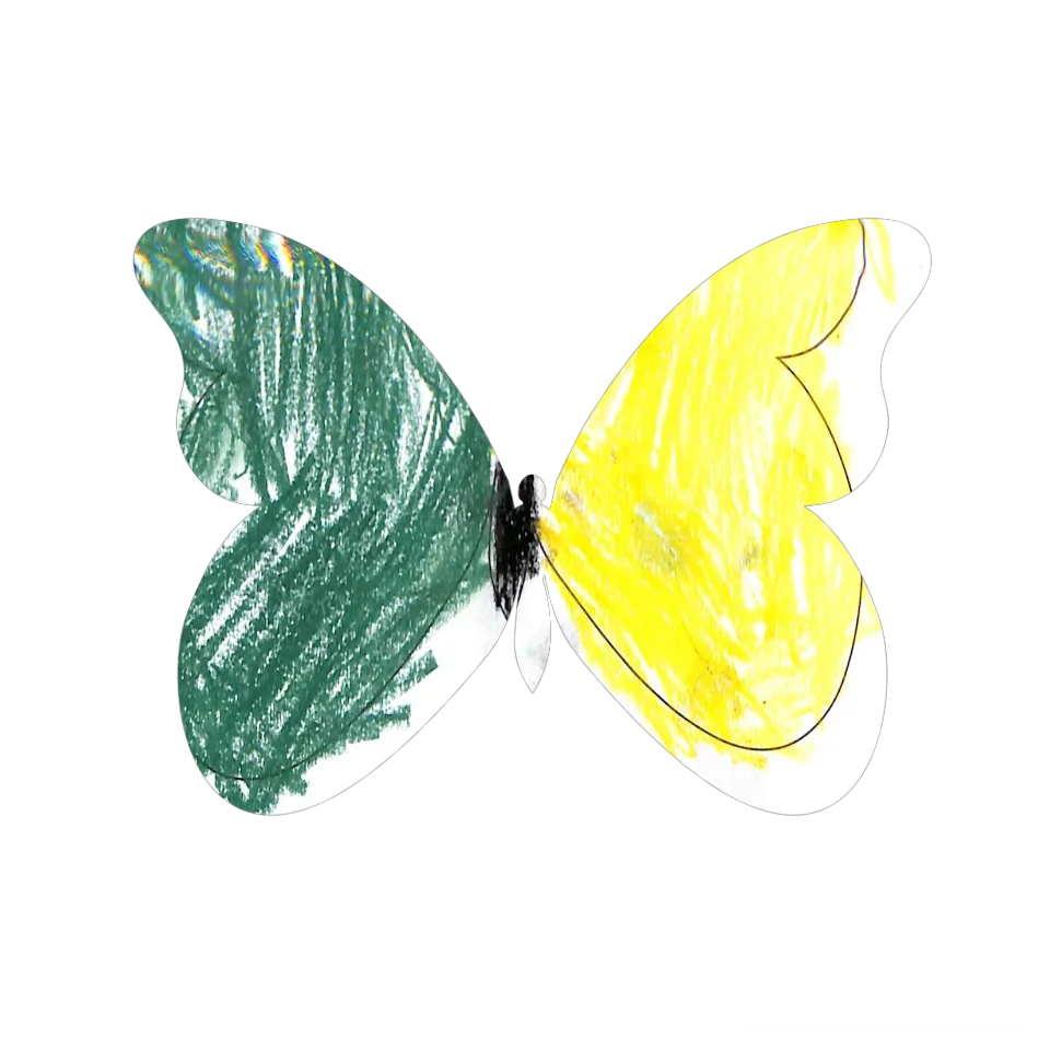 Original Butterfly Image