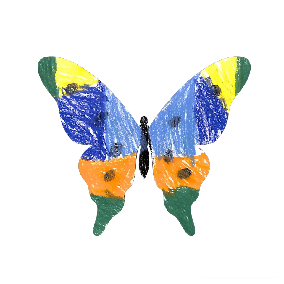Original Butterfly Image