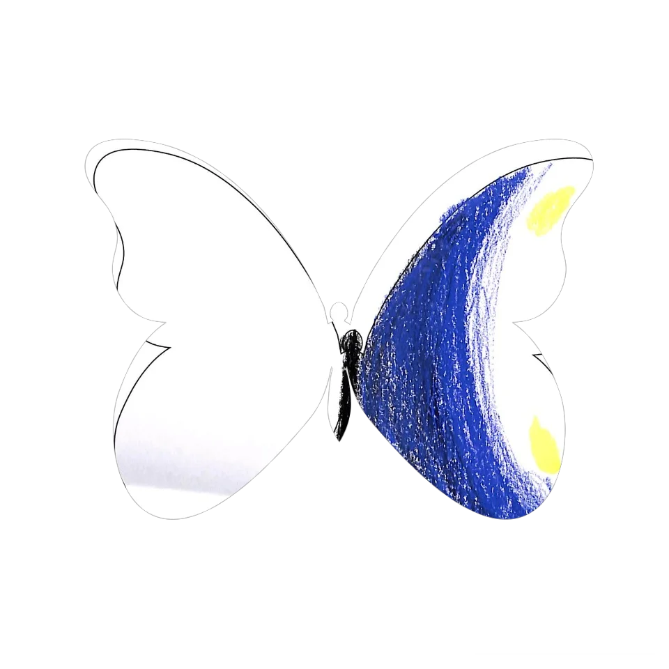 Original Butterfly Image