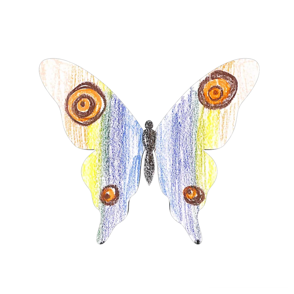 Original Butterfly Image