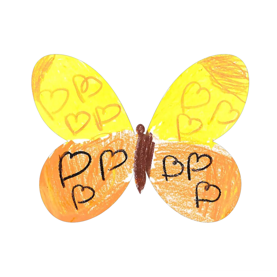 Original Butterfly Image