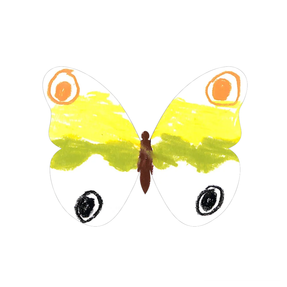 Original Butterfly Image