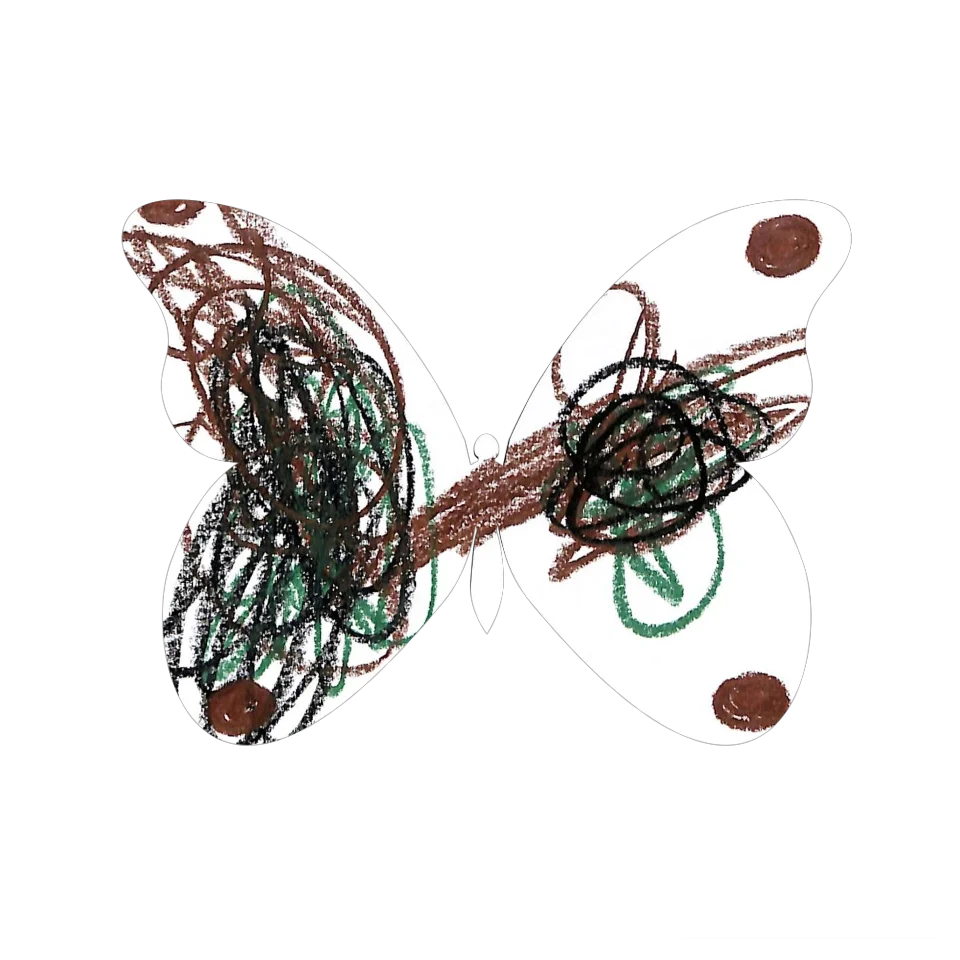Original Butterfly Image