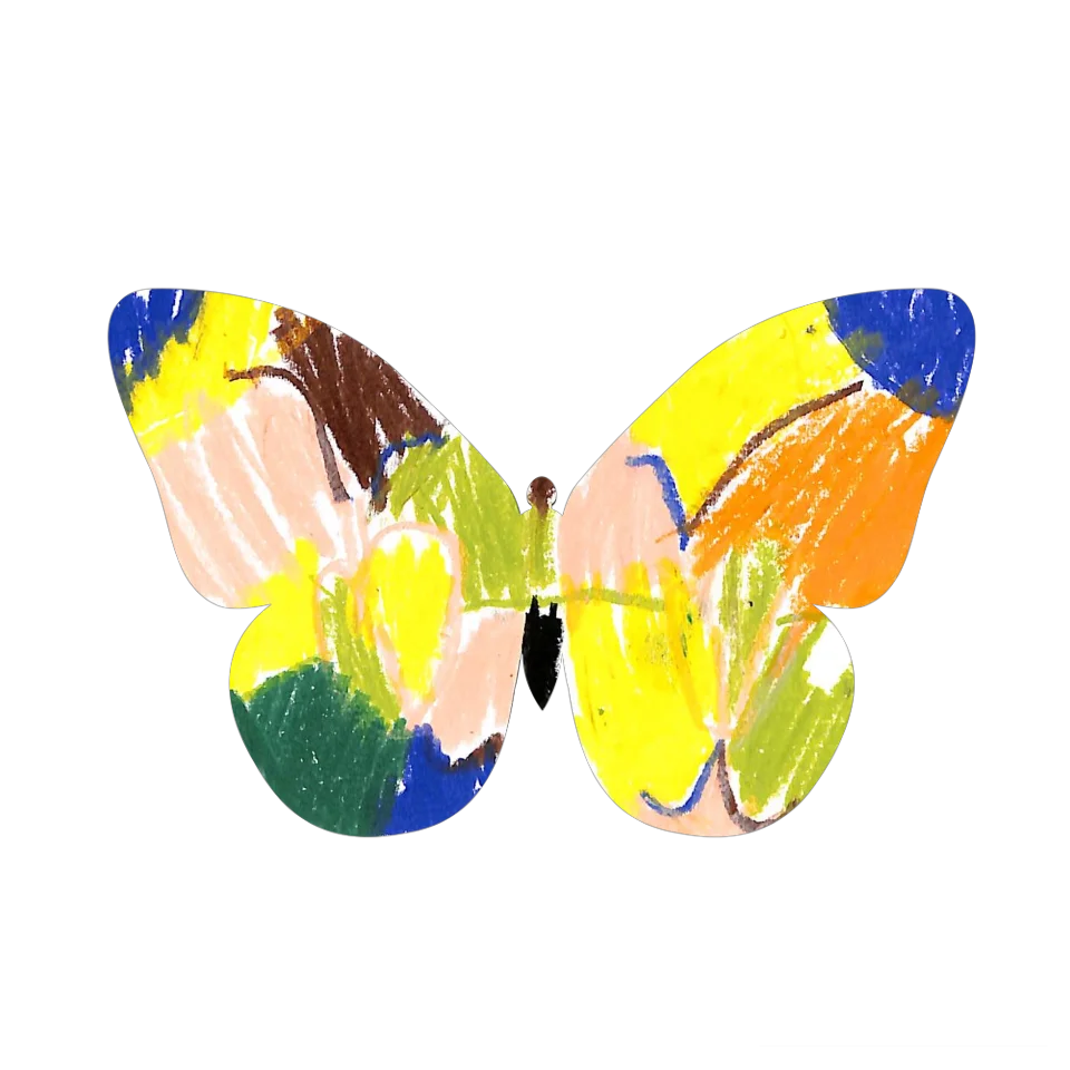 Original Butterfly Image