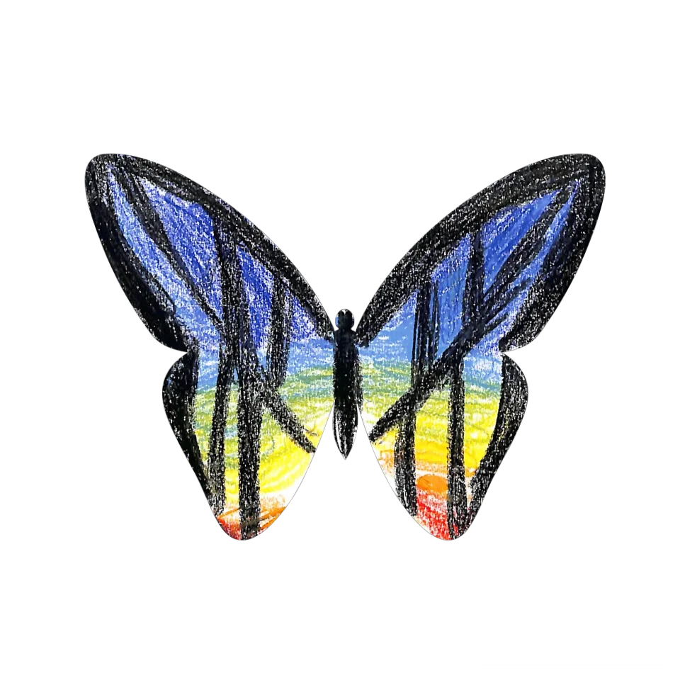 Original Butterfly Image