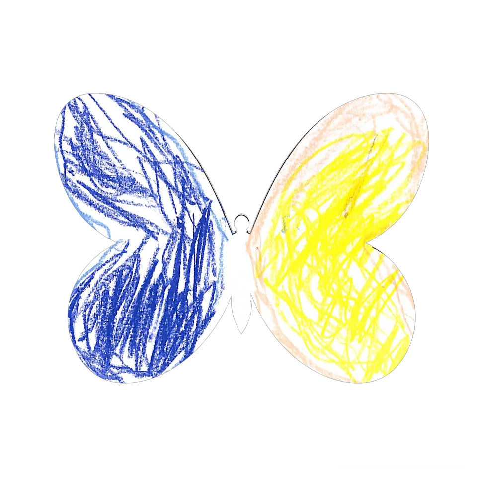 Original Butterfly Image