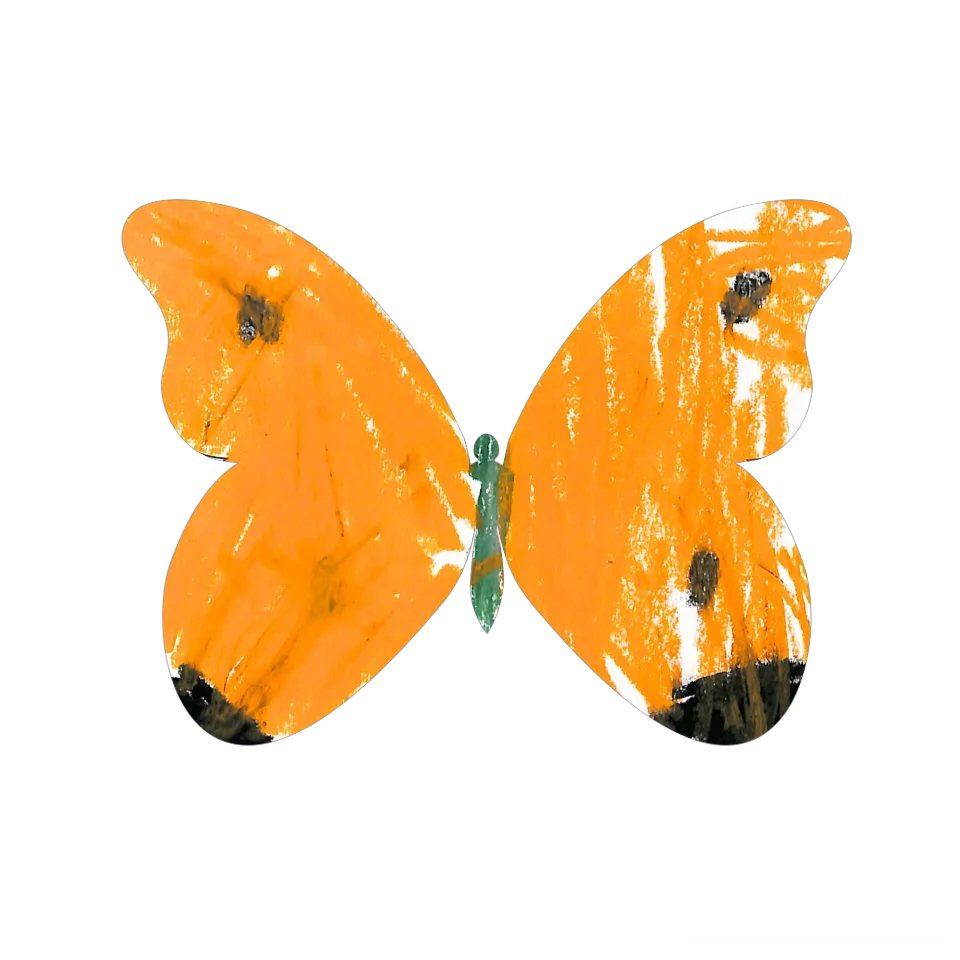 Original Butterfly Image