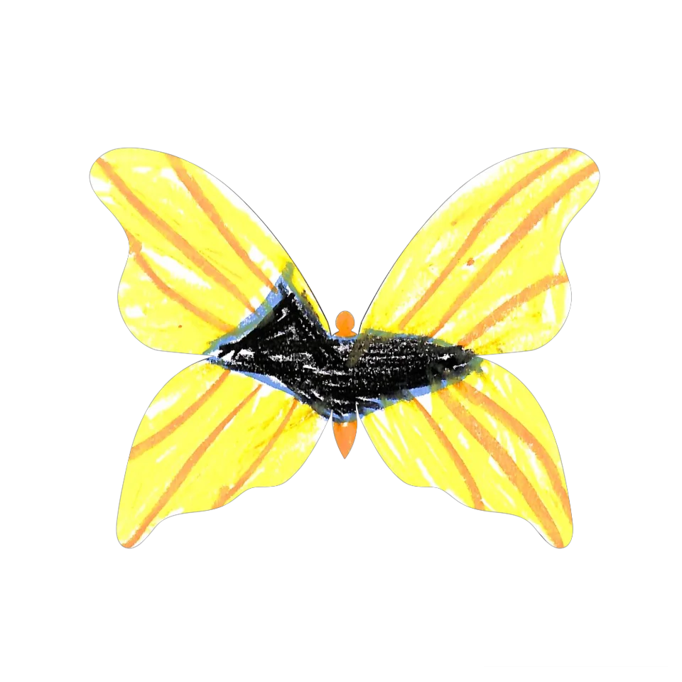 Original Butterfly Image