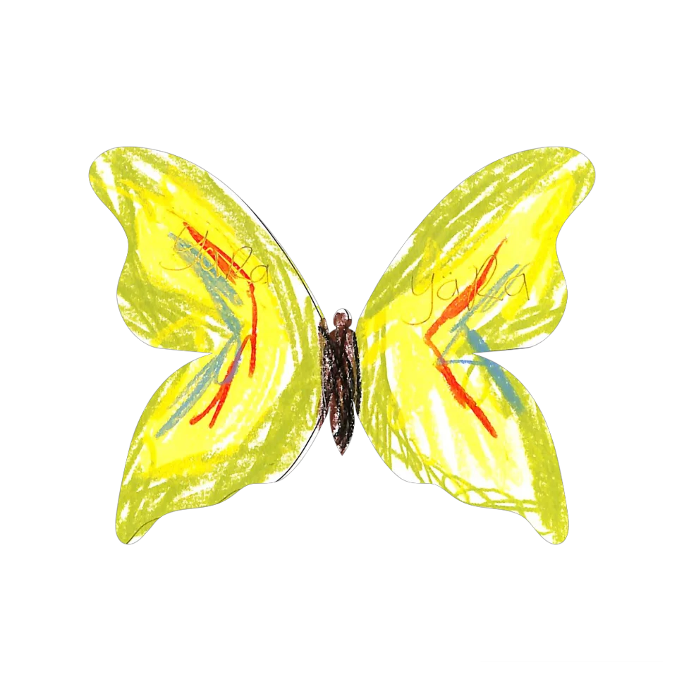 Original Butterfly Image