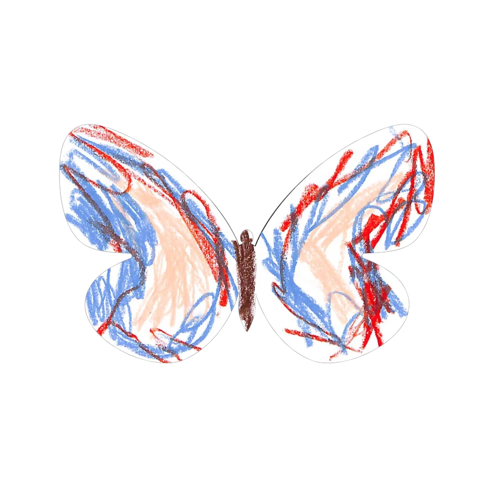 Original Butterfly Image