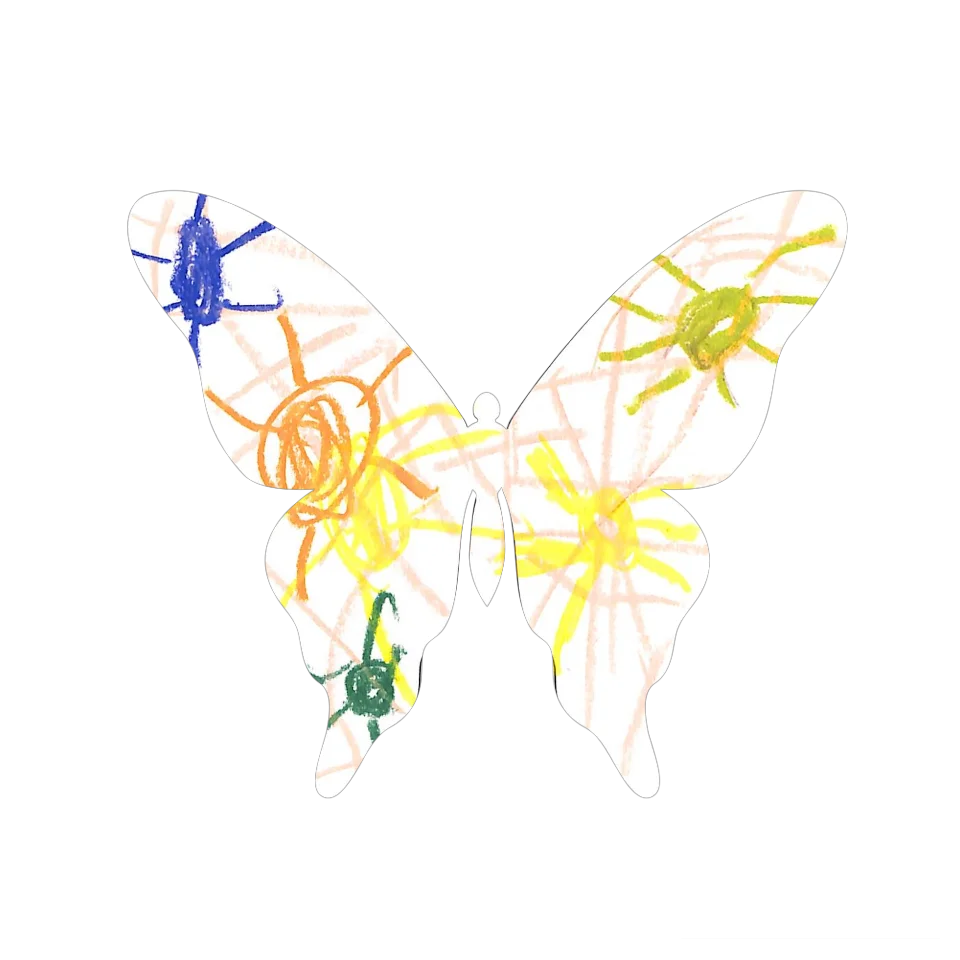 Original Butterfly Image