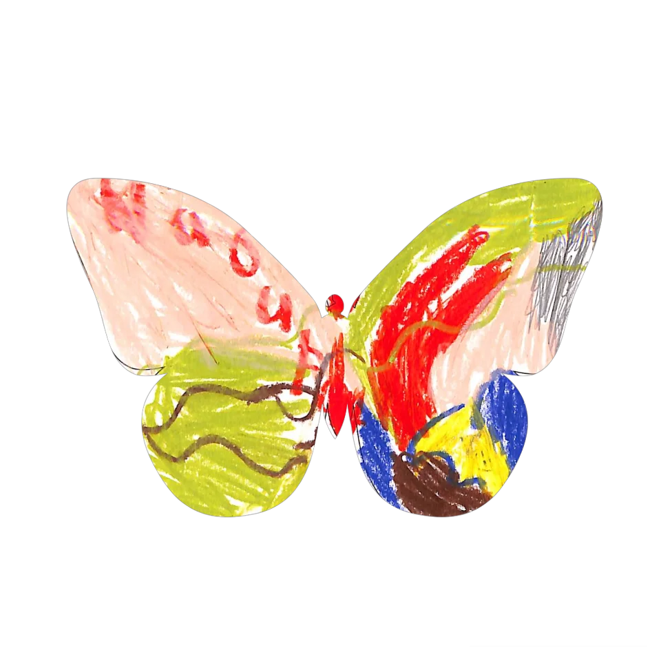 Original Butterfly Image