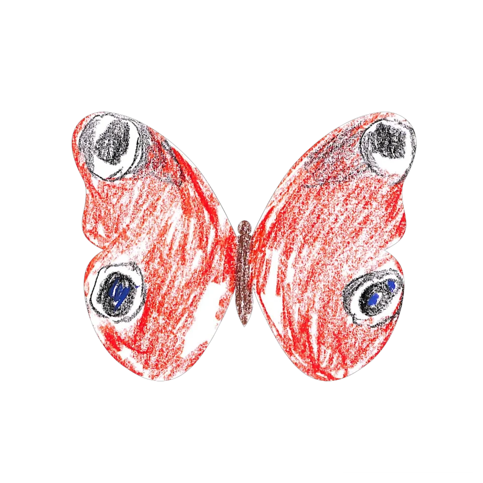 Original Butterfly Image