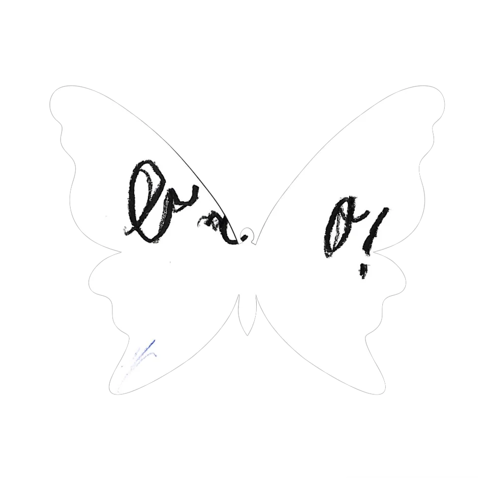 Original Butterfly Image