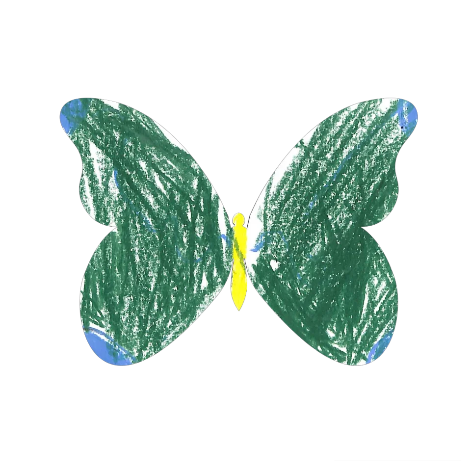 Original Butterfly Image