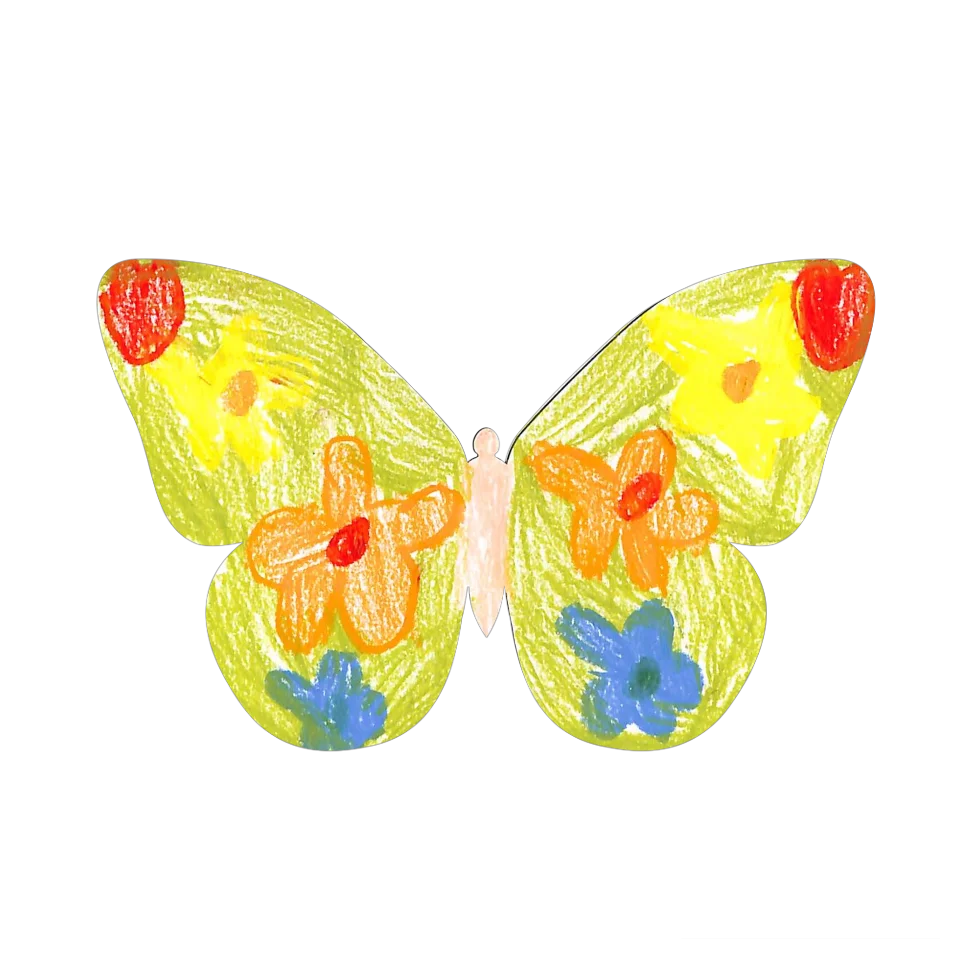Original Butterfly Image