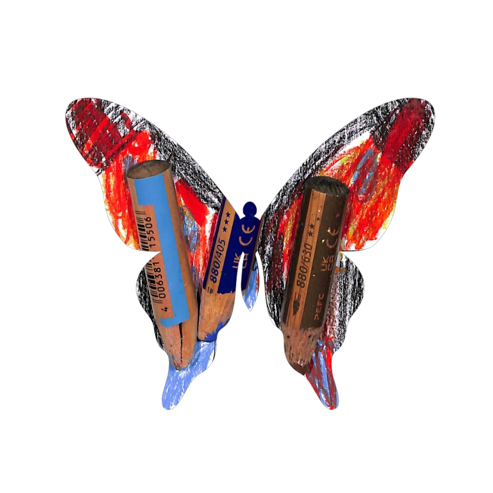 Original Butterfly Image