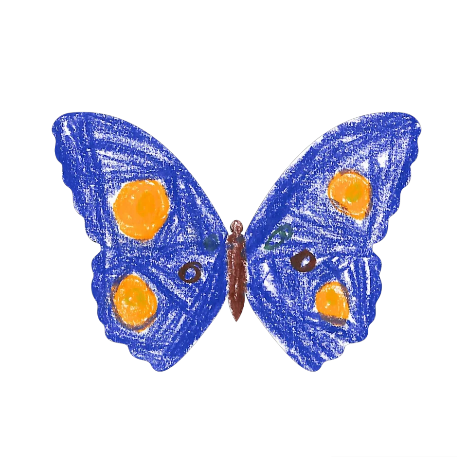 Original Butterfly Image