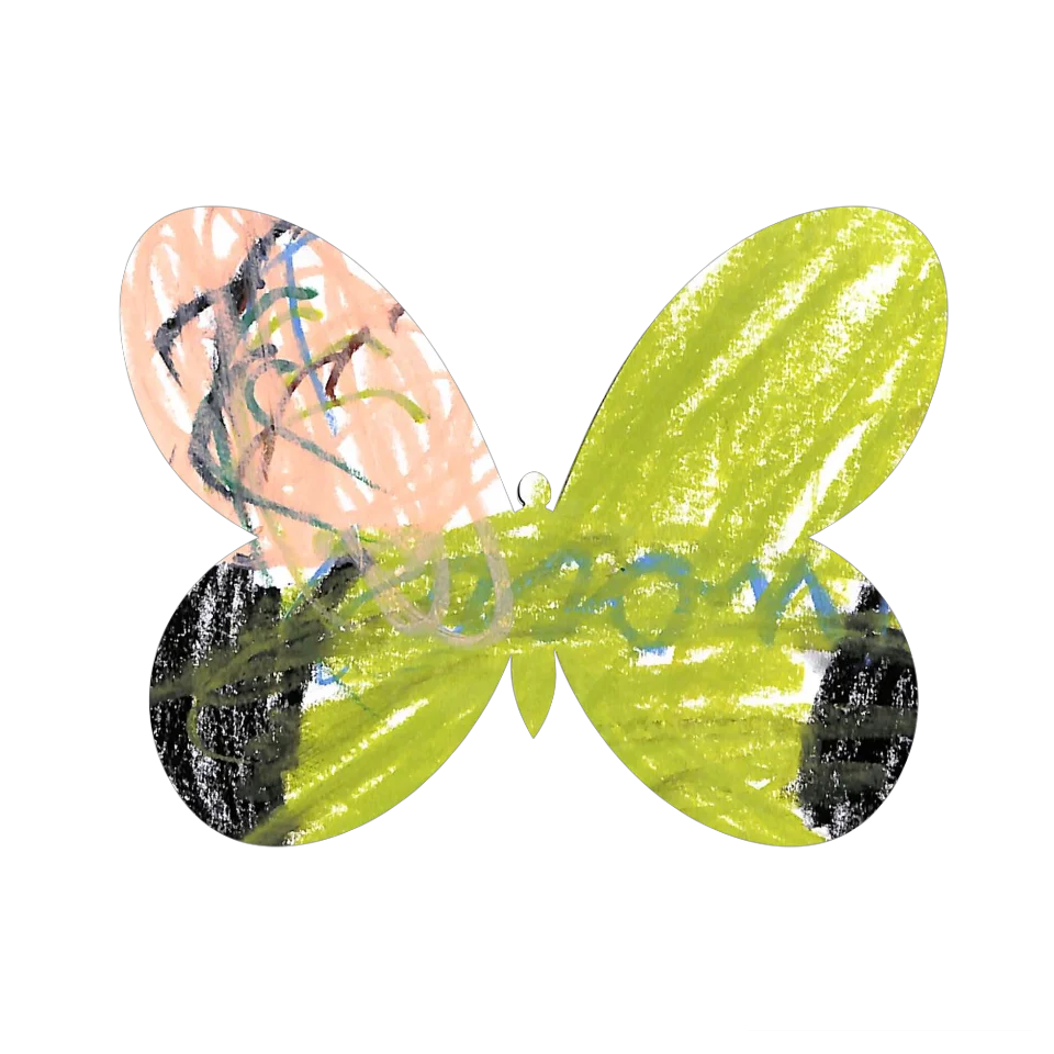 Original Butterfly Image