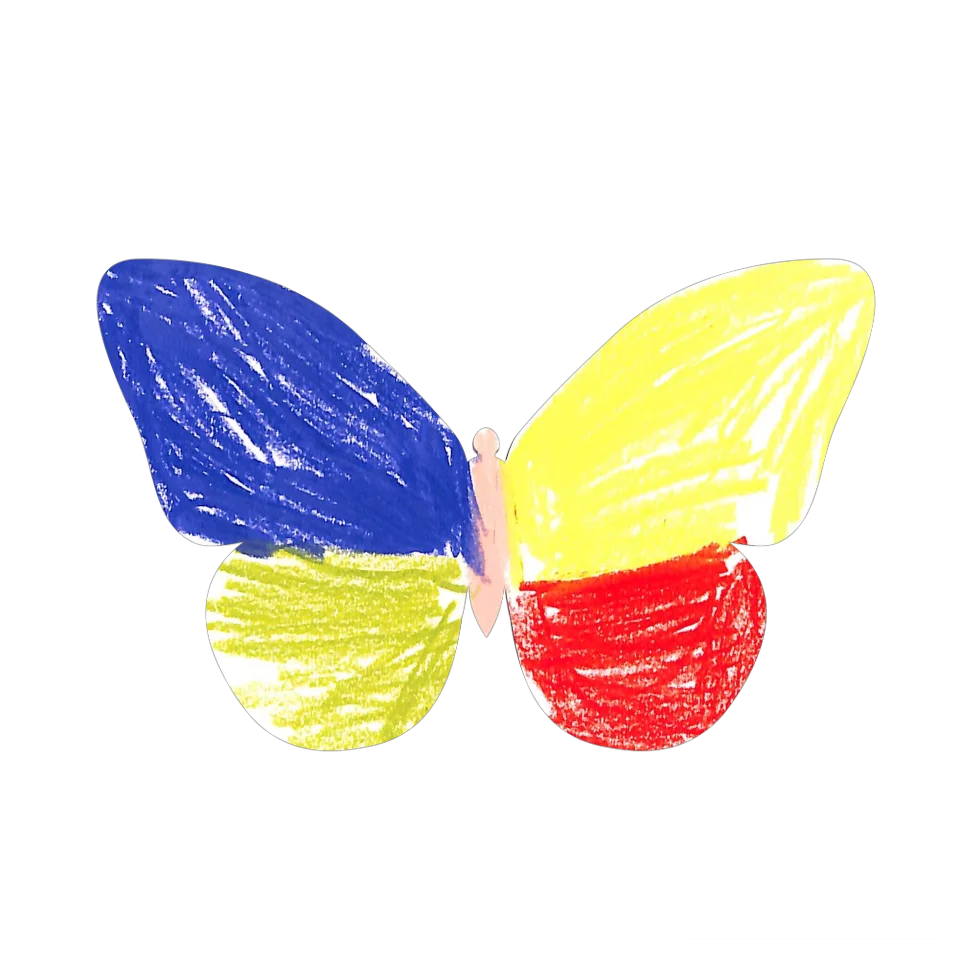 Original Butterfly Image