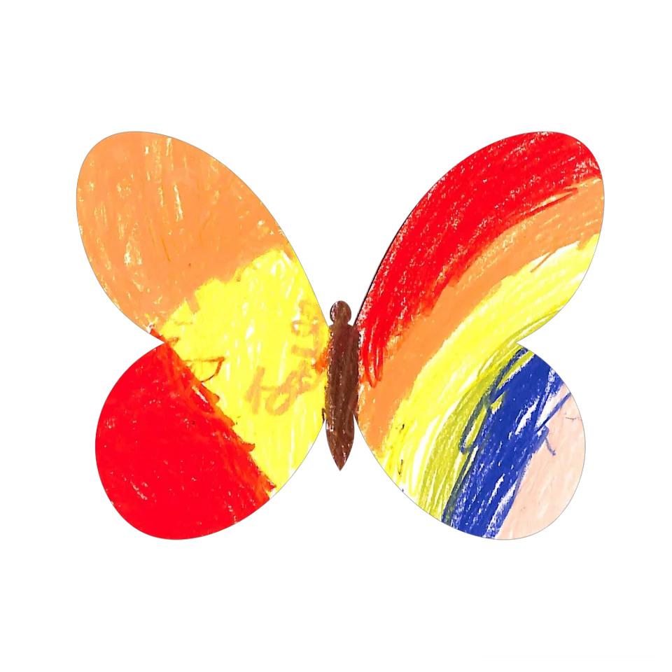 Original Butterfly Image