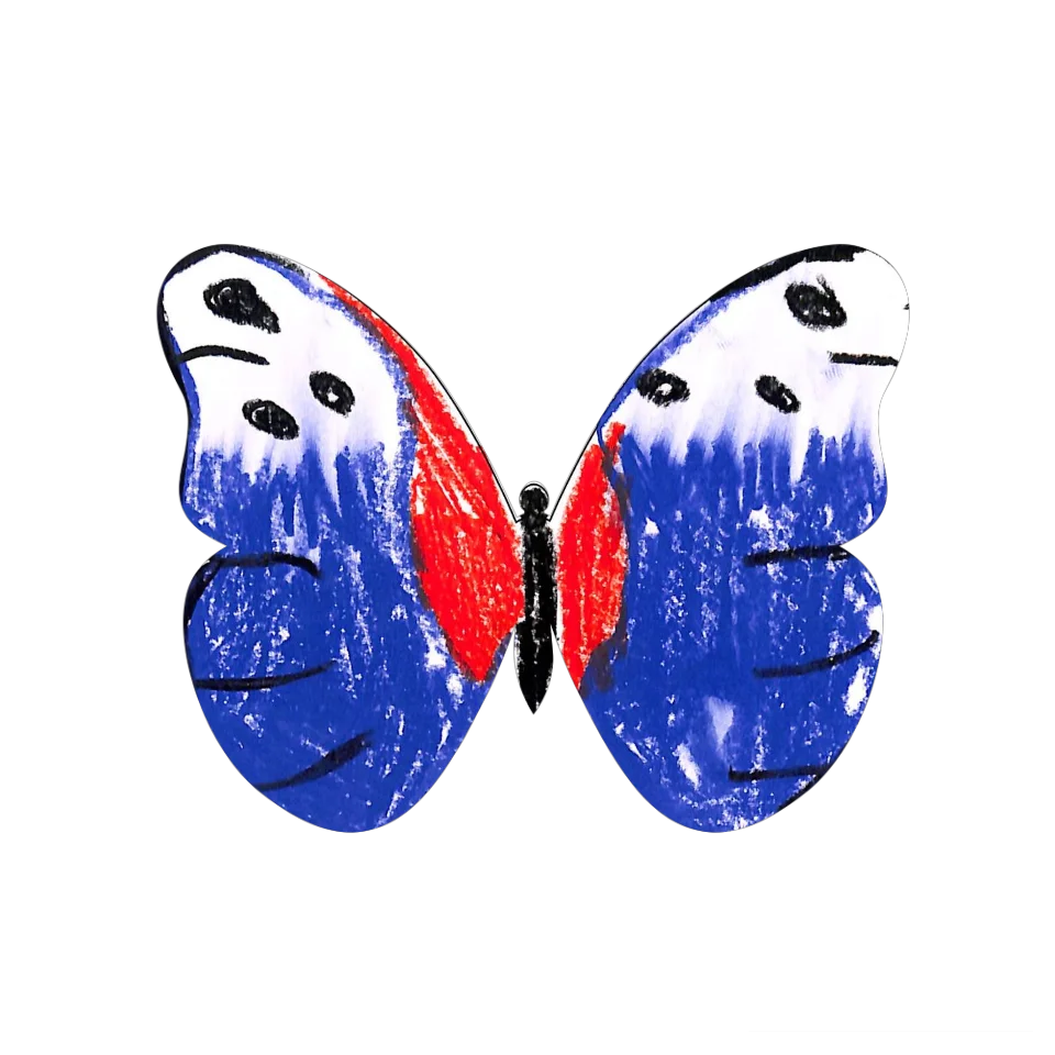Original Butterfly Image