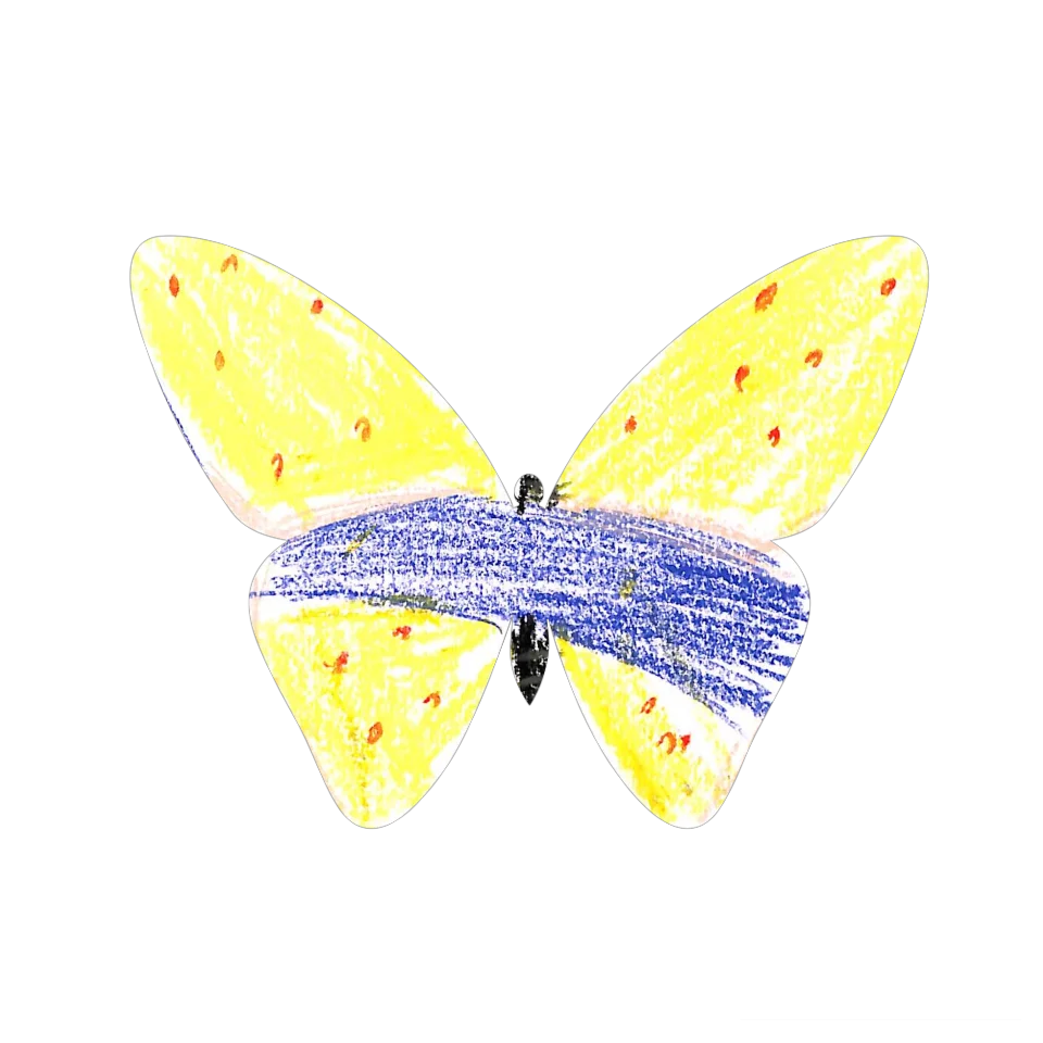 Original Butterfly Image