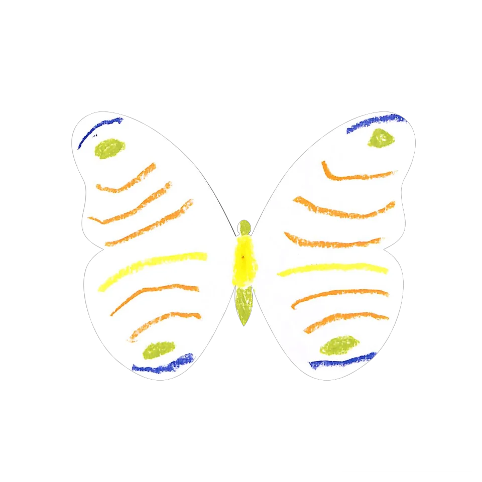 Original Butterfly Image