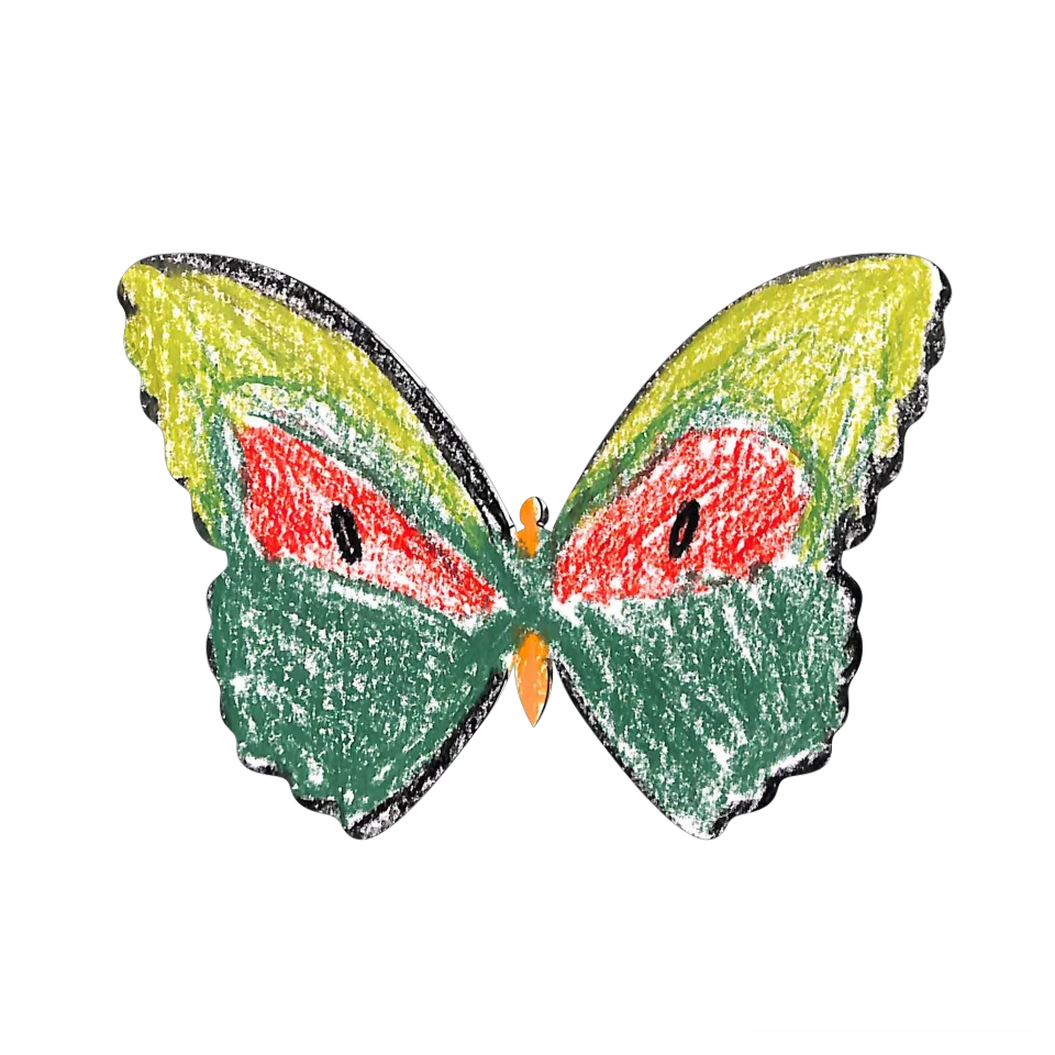 Original Butterfly Image