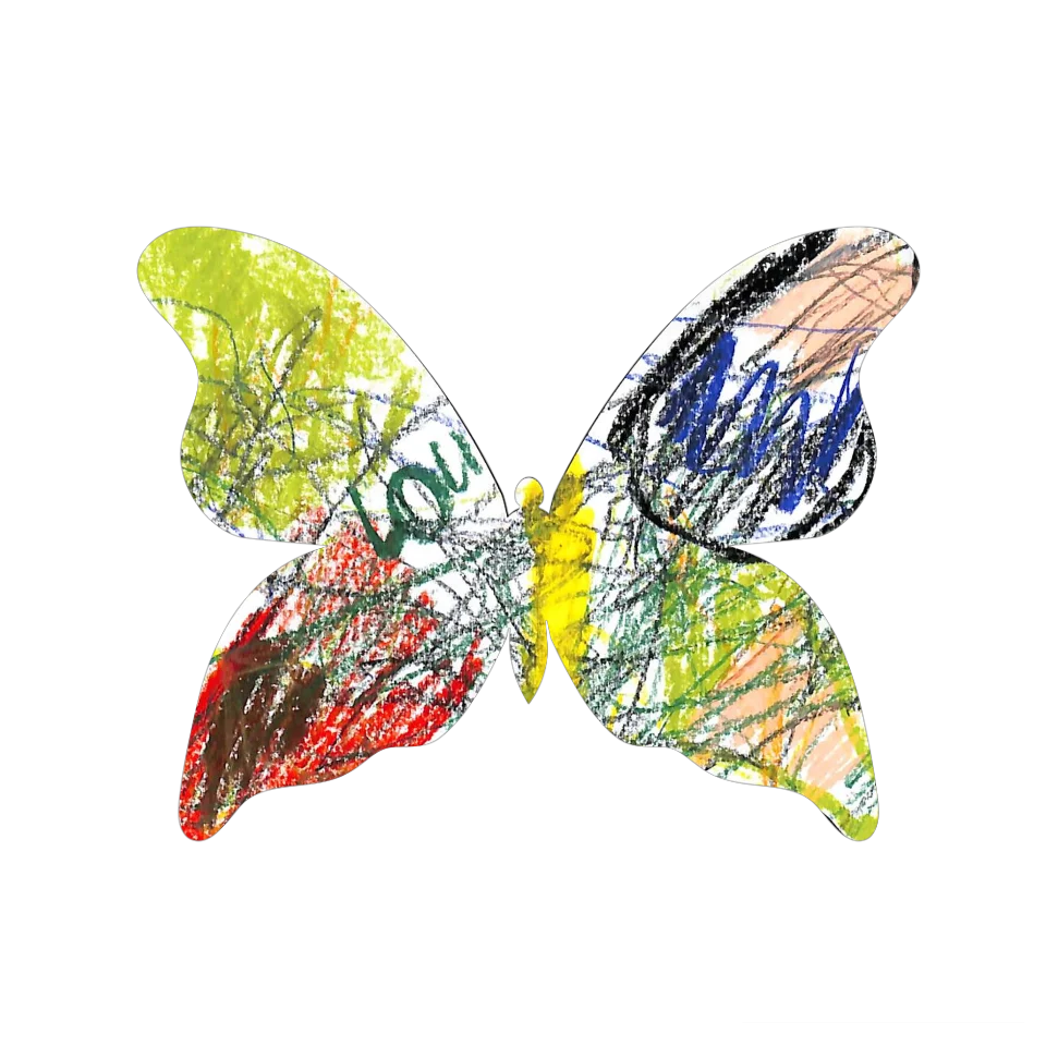 Original Butterfly Image