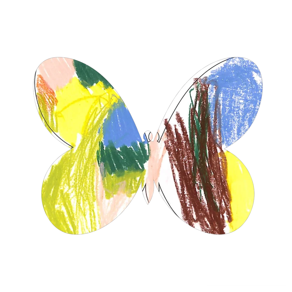 Original Butterfly Image