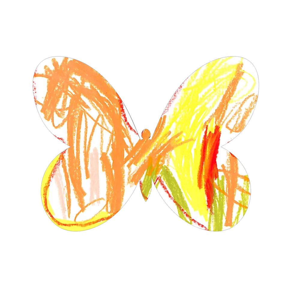 Original Butterfly Image