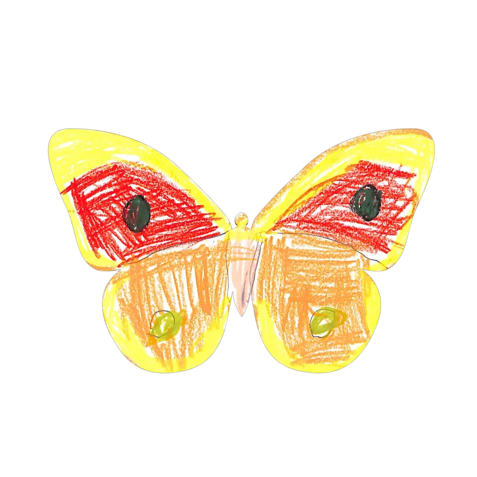 Original Butterfly Image