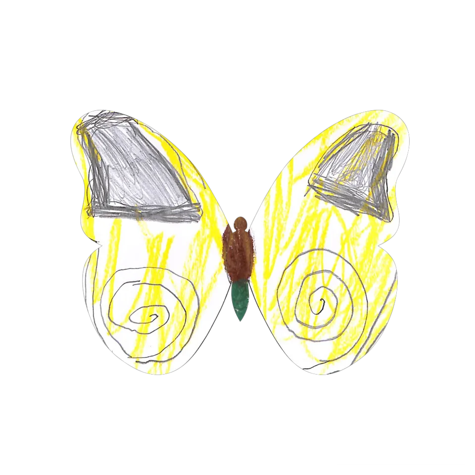 Original Butterfly Image