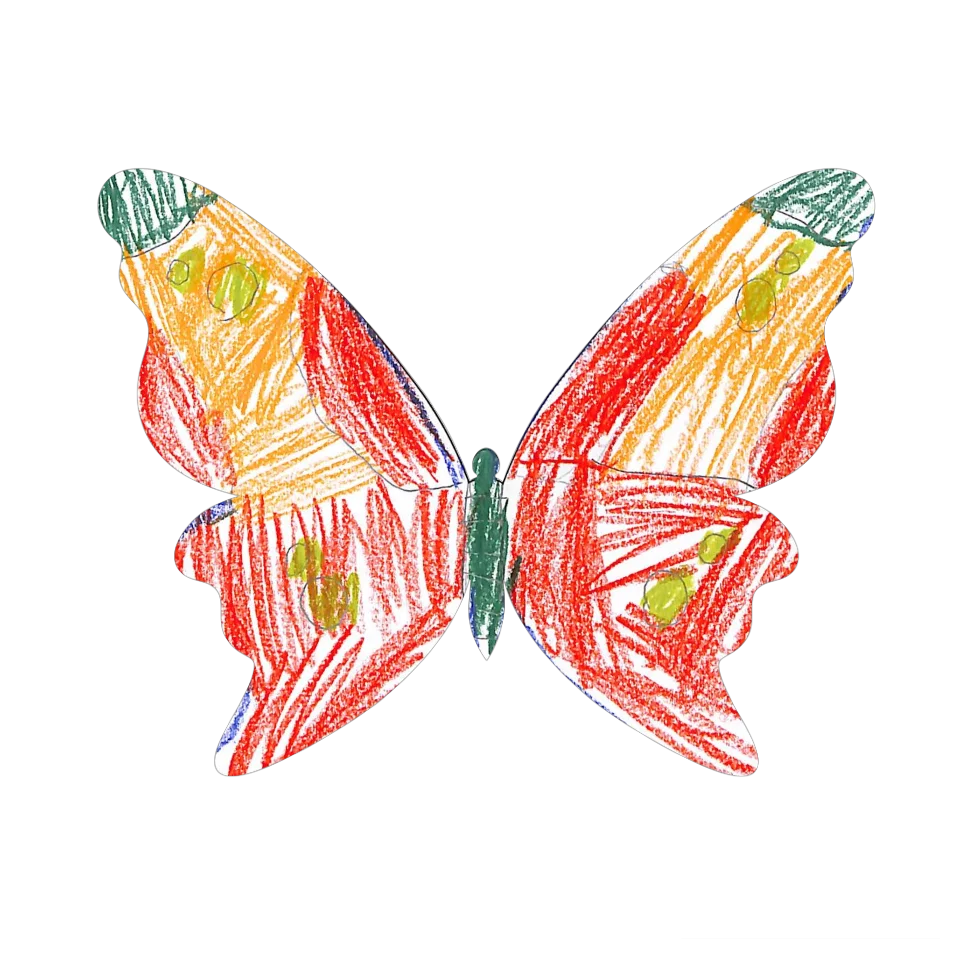 Original Butterfly Image