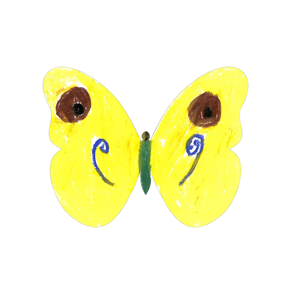 Original Butterfly Image