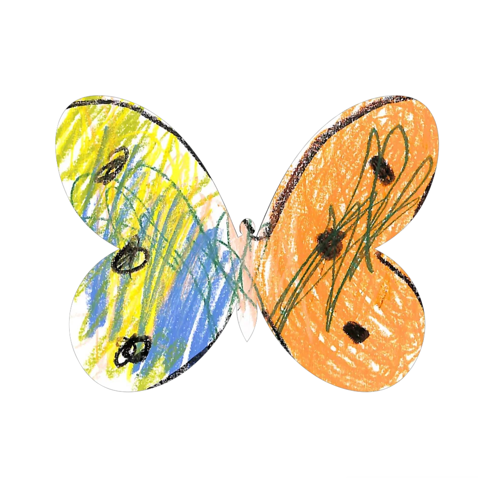 Original Butterfly Image