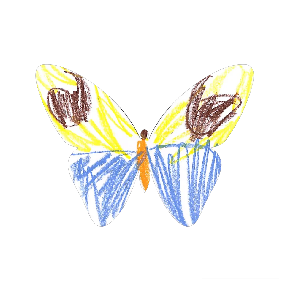 Original Butterfly Image
