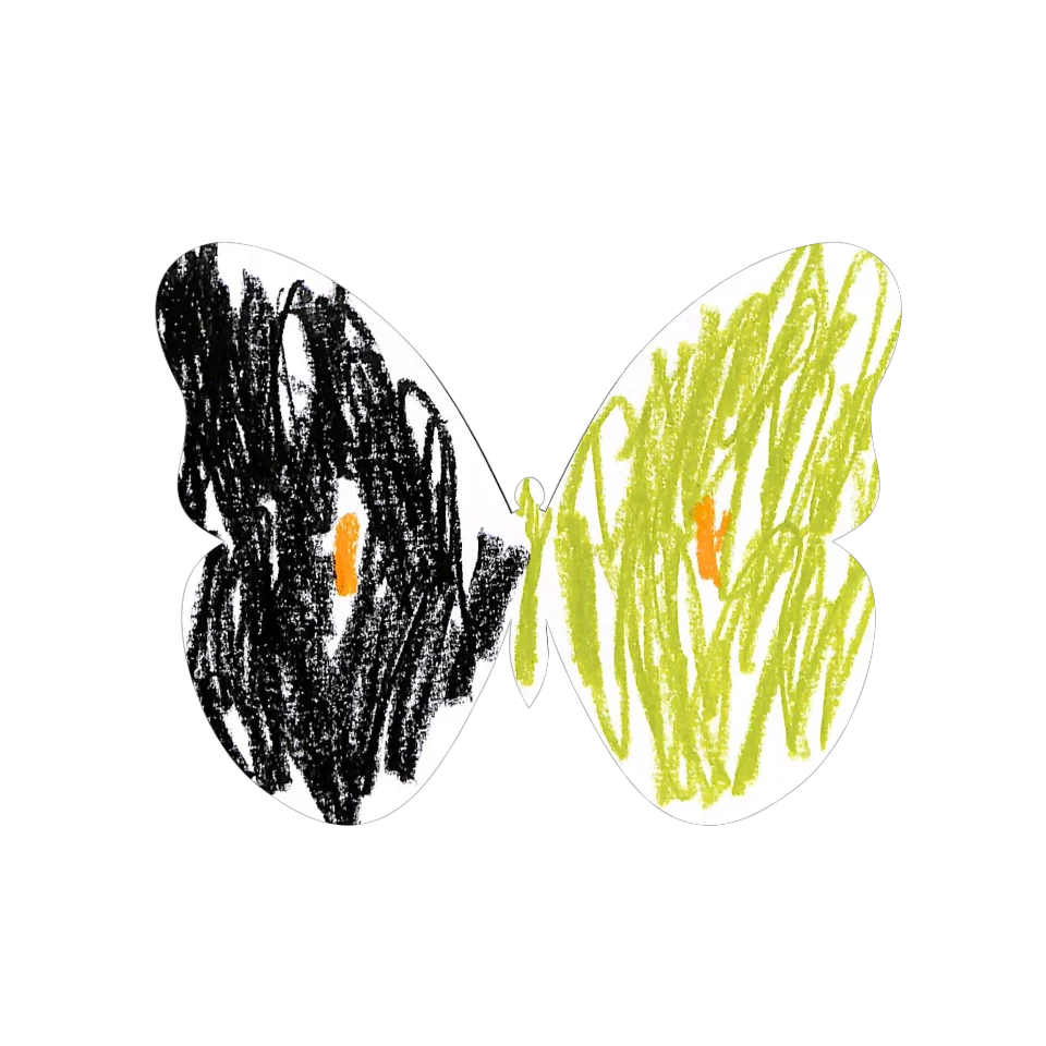 Original Butterfly Image