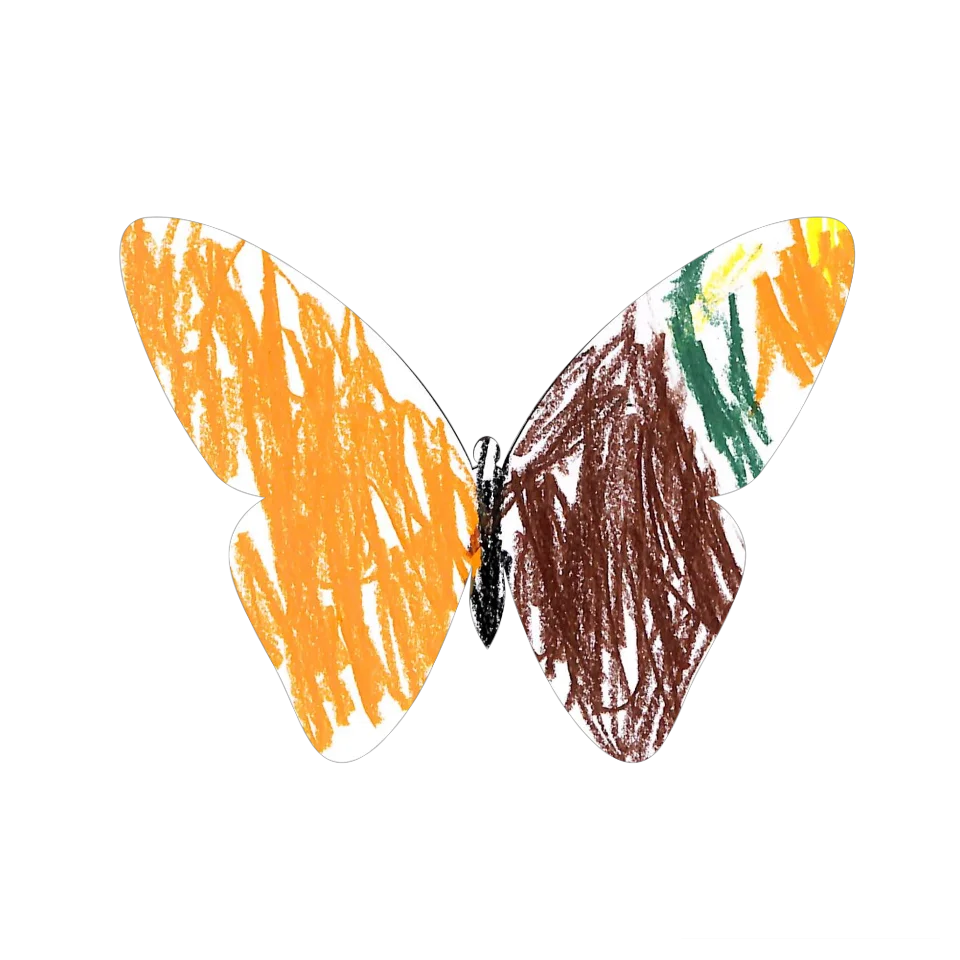 Original Butterfly Image