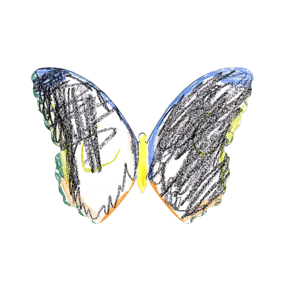 Original Butterfly Image