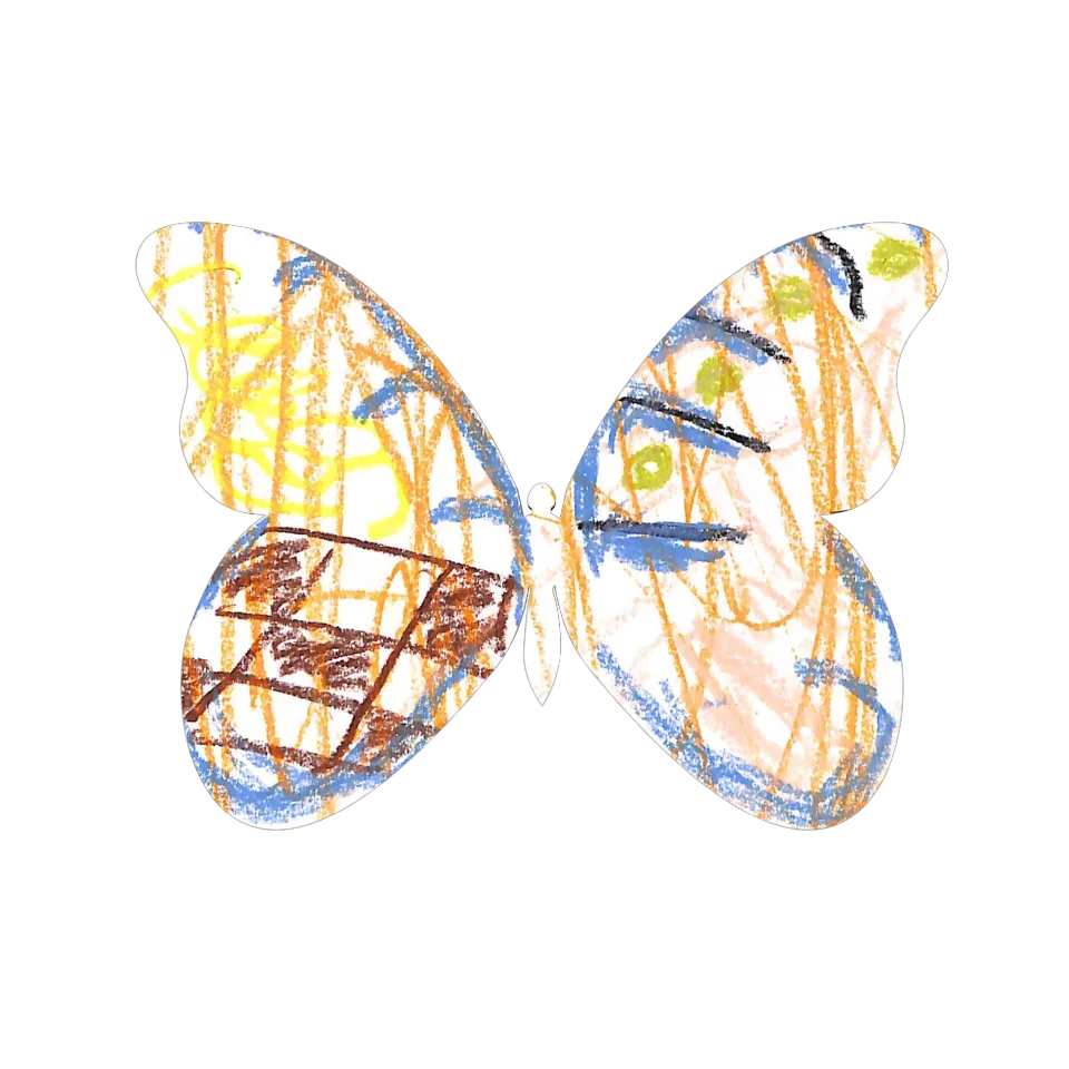 Original Butterfly Image