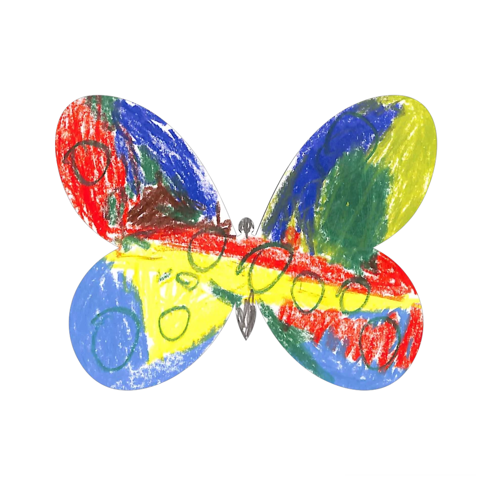 Original Butterfly Image