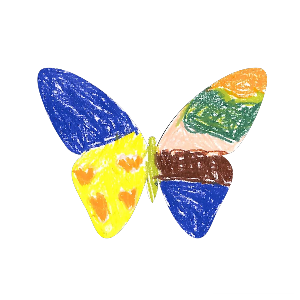 Original Butterfly Image