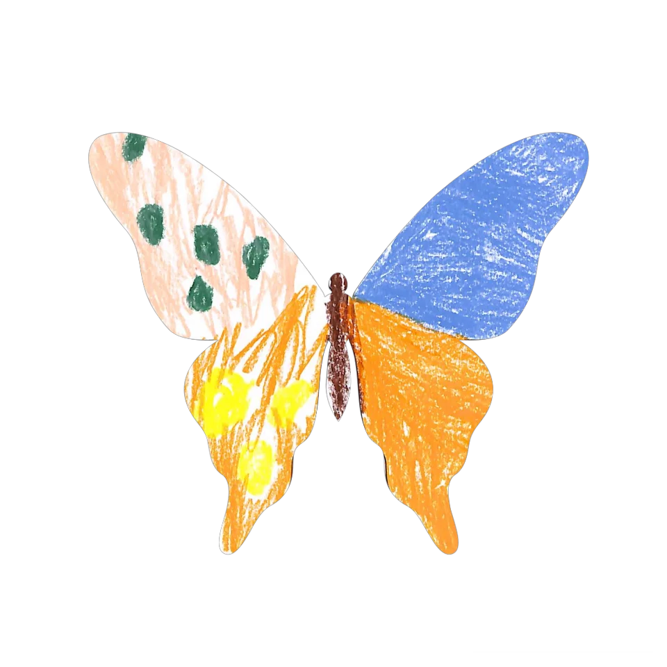Original Butterfly Image