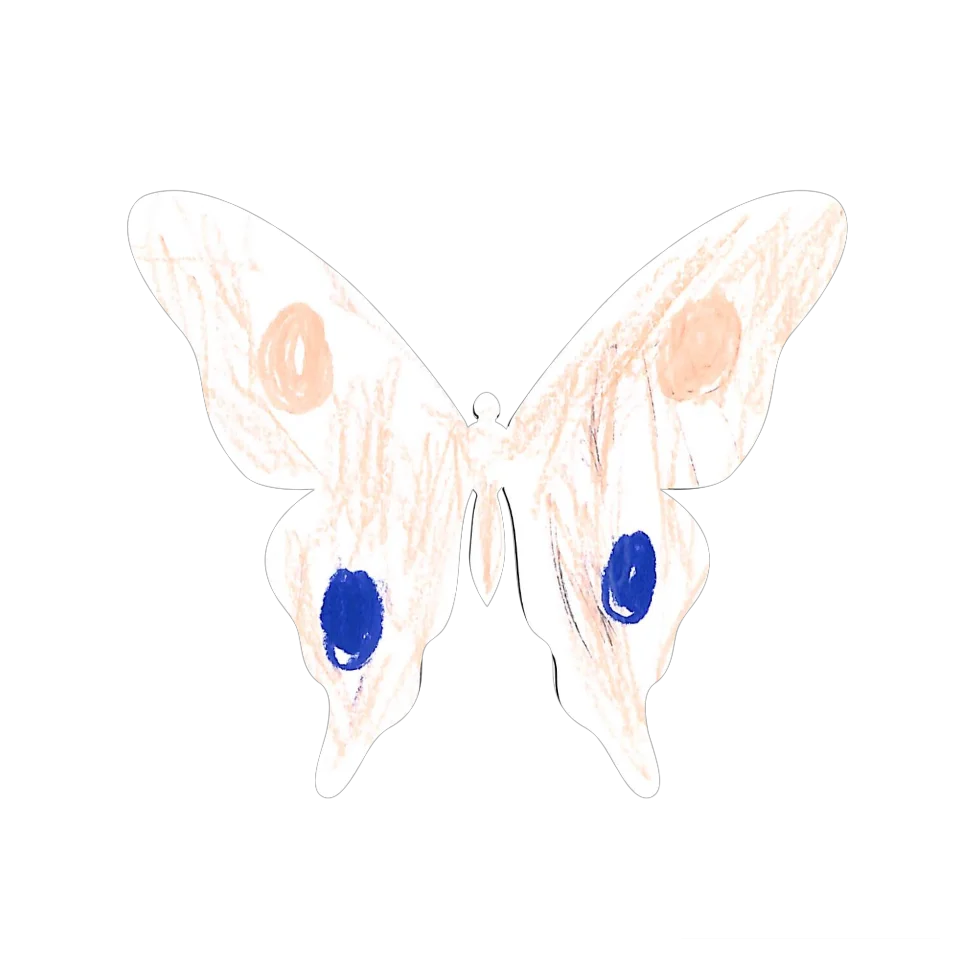 Original Butterfly Image