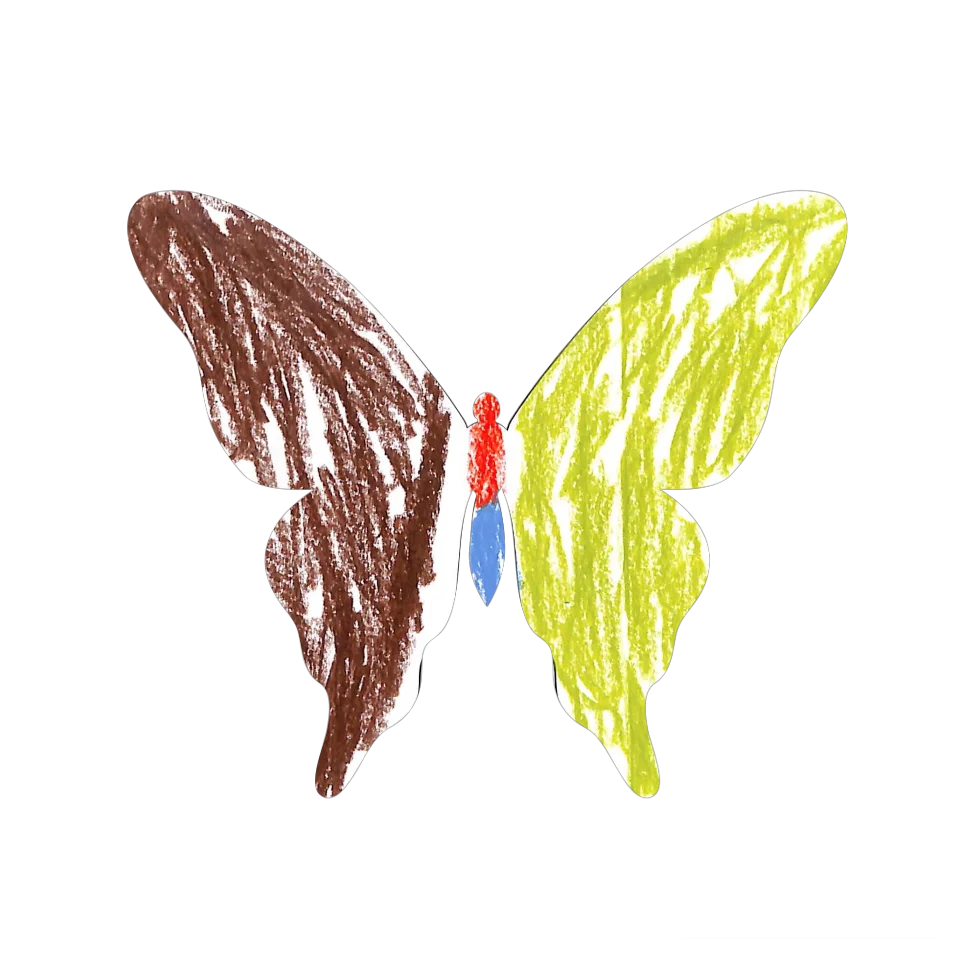 Original Butterfly Image